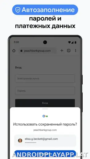 Google Chrome скриншот 6